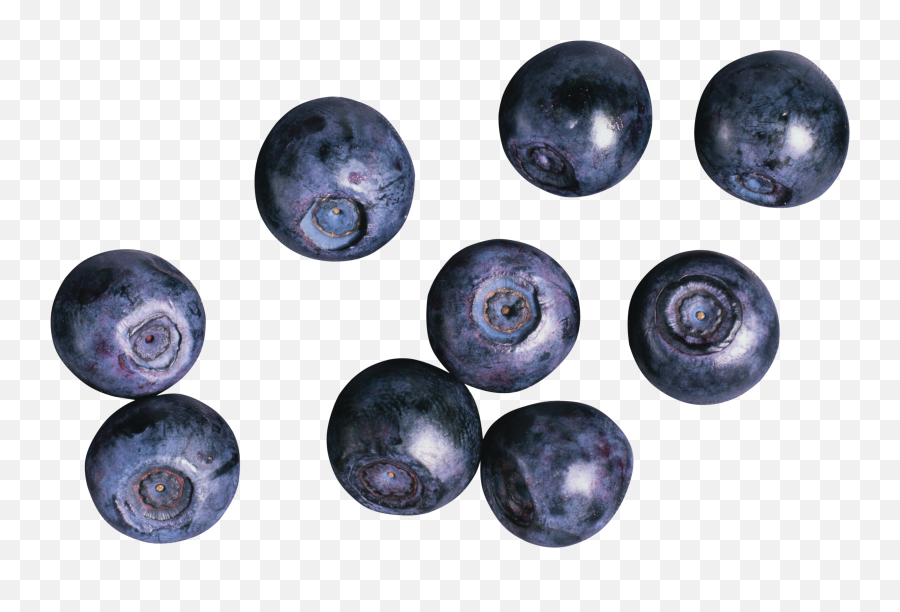 Download Blueberries Png Image For Free - Black Currant And Blueberry,Berries Png