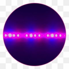 Special Spectrum - RedBlueFarRed Light For Flowersu0026Fruits Circle png