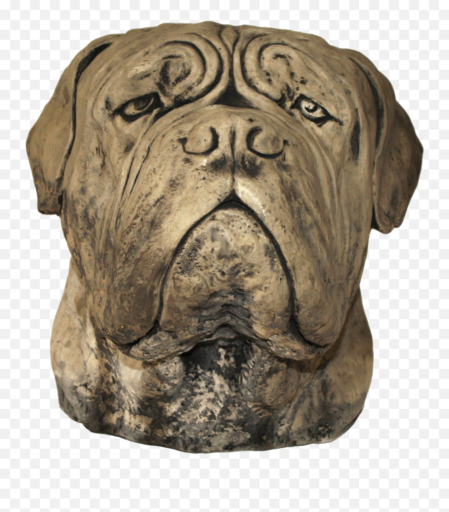 Download Large Dog Head - Bullmastiff Png,Dog Head Png