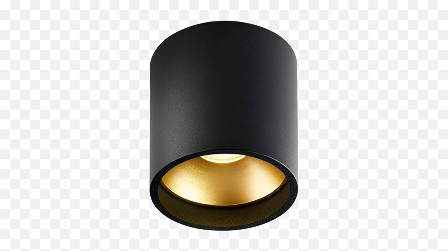Solo Round Ceiling Lamp 3000k Blackgold - Lightpoint Ceiling Fixture Png,Gold Light Png