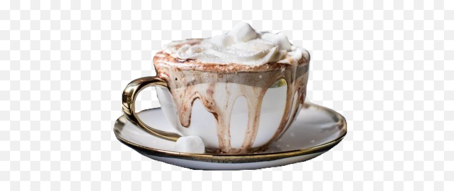Hot Chocolate Tea Cup White Brown - Cup Png,Hot Chocolate Png