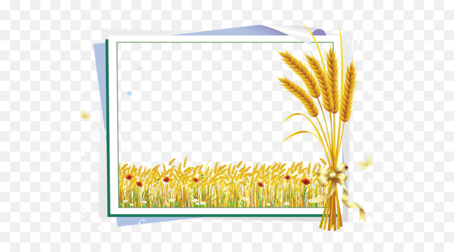 Labels Scraps Png - Agriculture Page Border,Grass Vector Png