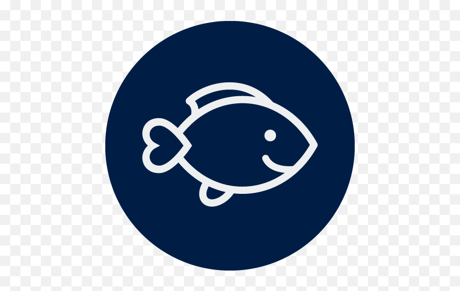 Lucky Iron Fish Deficiency Anemia - Lucky Iron Fish Logo Png,Fish Logo