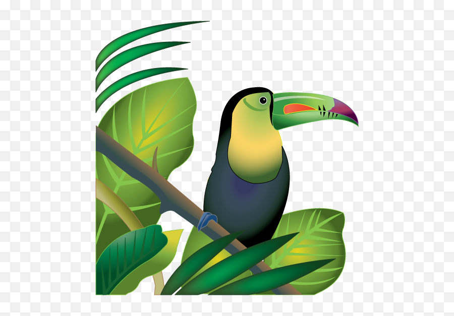 Rainforest Png Images Transparent Free Download Pngmartcom - Amazon Rainforest Animals Clipart,Rainforest Png