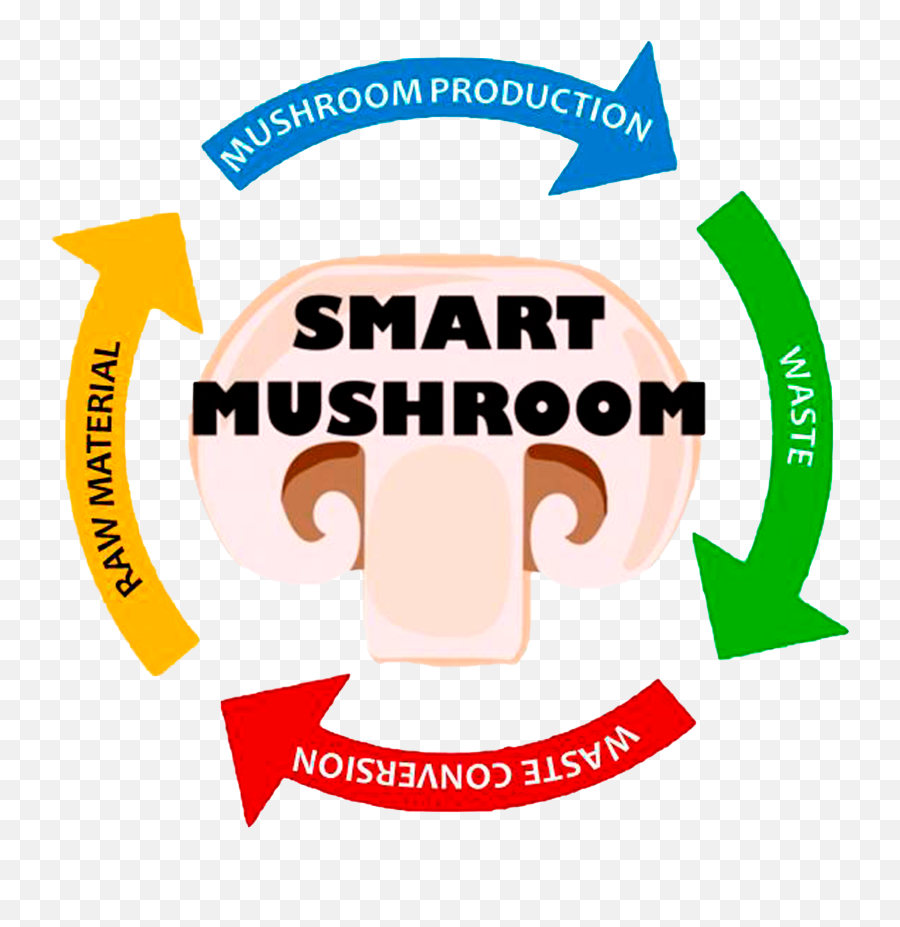 Smart Mushroom Png Logo