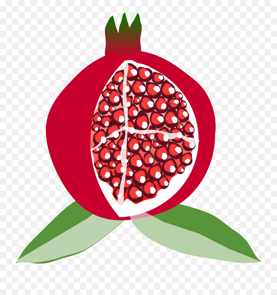 Different Size 1697x2400 450 - Animated Picture Of Pomegranate Png,Pomegranate Png Different Size 1697x2400 450 - Animated Picture Of Pomegranate Png,Pomegranate Png
