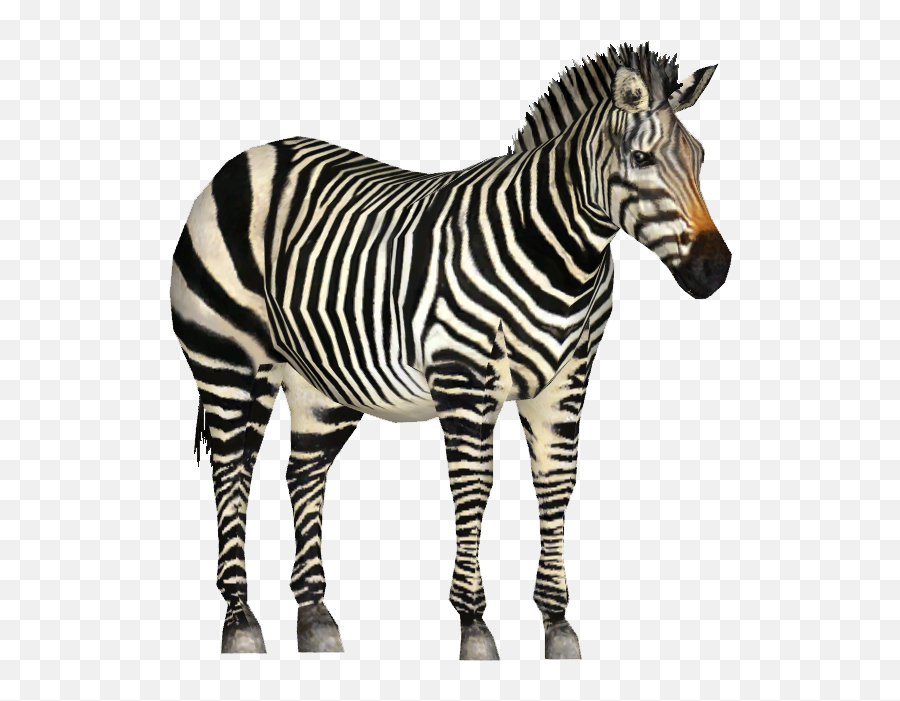 Zebra Png - Zebra Zoo Tycoon 2,Zebra Png