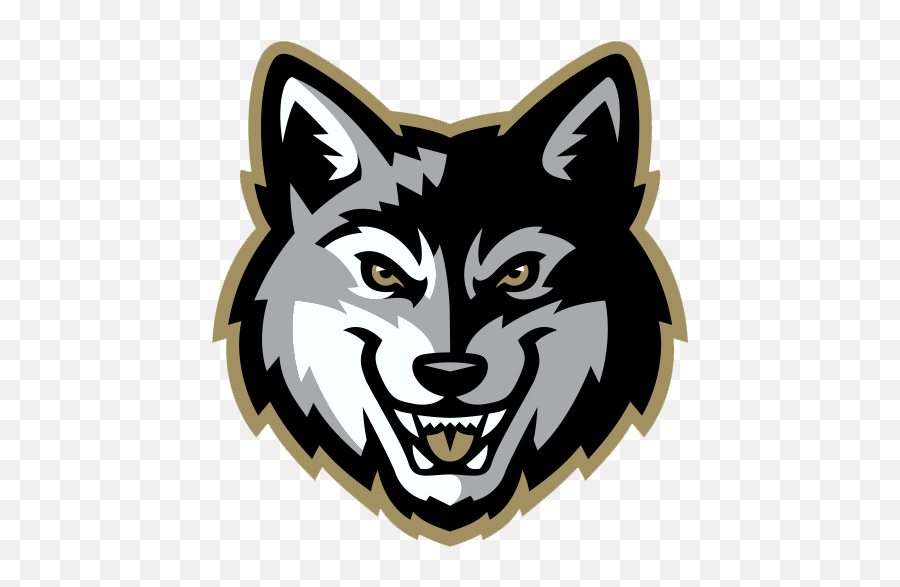 Download Wolf Head Logo Png Cartoon Wolf Face Png Wolf Head Png Free Transparent Png Images Pngaaa Com