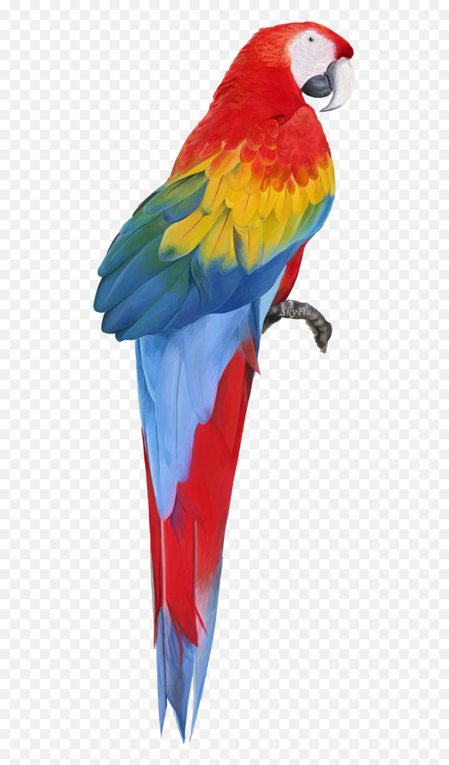 Macaw Png Transparent Images All - Macaw Png,Parrot Transparent