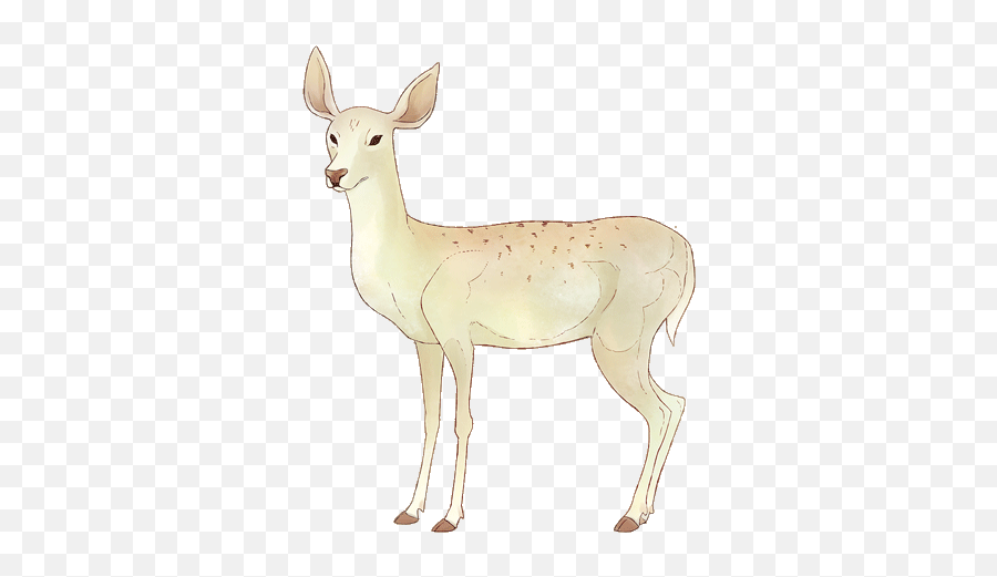 Animated Doe Character Pepperish Studio Png Transparent Animations