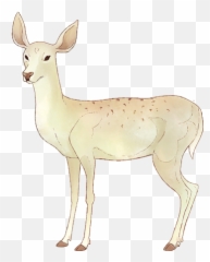 Animated Doe Character Pepperish Studio Png