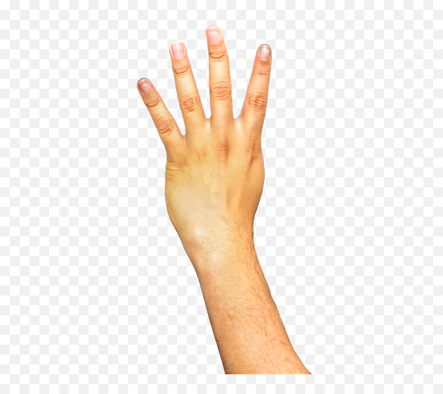 Download Arm Transparent Background Hq Png Image Freepngimg - Transparent Background Arm Png,Nail Transparent Background