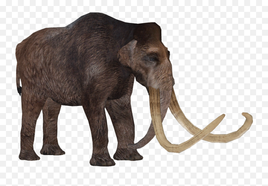 Woolly Mammoth - Zoo Tycoon 2 Mammoth Png,Mammoth Png