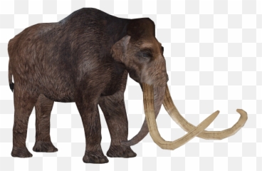 Woolly Mammoth - Zoo Tycoon 2 Mammoth Png,Mammoth Png
