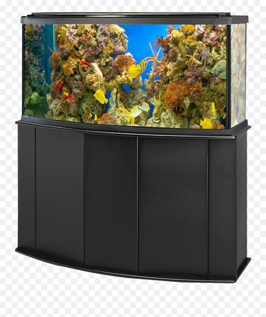 Aquarium Png Images Free Download - Aquarium Fish Tank Png,Fish Bowl Png