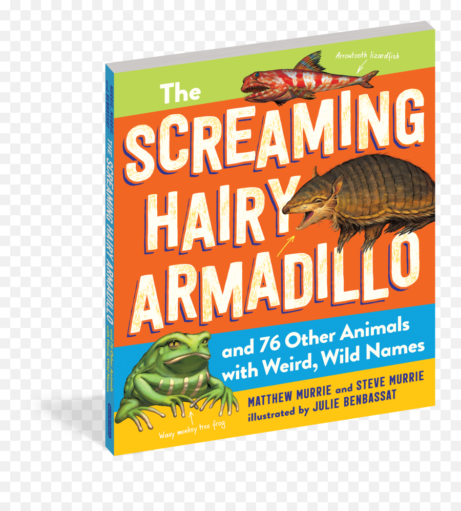 The Screaming Hairy Armadillo And 76 Other Animals With Weird Wild Names - Pond Frogs Png,Armadillo Png