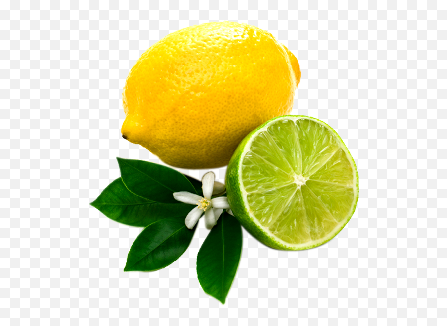 Lemons Clipart Transparent Background - Lemon And Lime Png,Lime Transparent Background