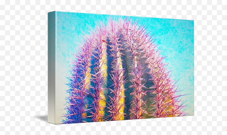 Cactus Light By John Jennings - Spiked Png,Tumblr Cactus Png