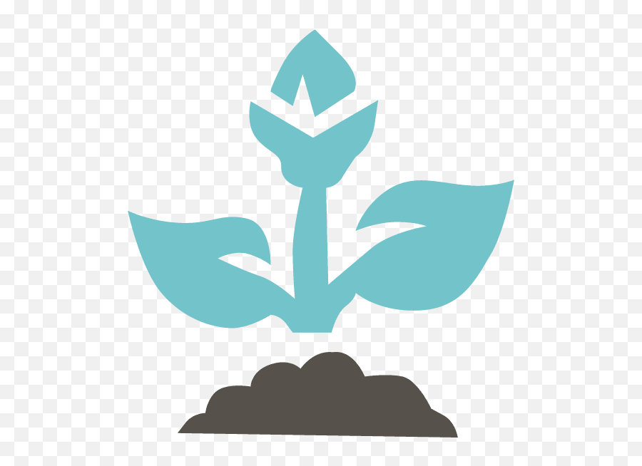 Plant - Icon Wachtel Tree Science Language Png,Plant Icon Png