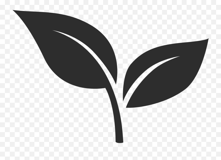 Indoor Potted Plants Delivered - Language Png,Next Door Leaf Icon