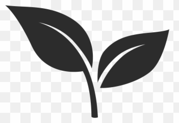 Indoor Potted Plants Delivered - Language png
