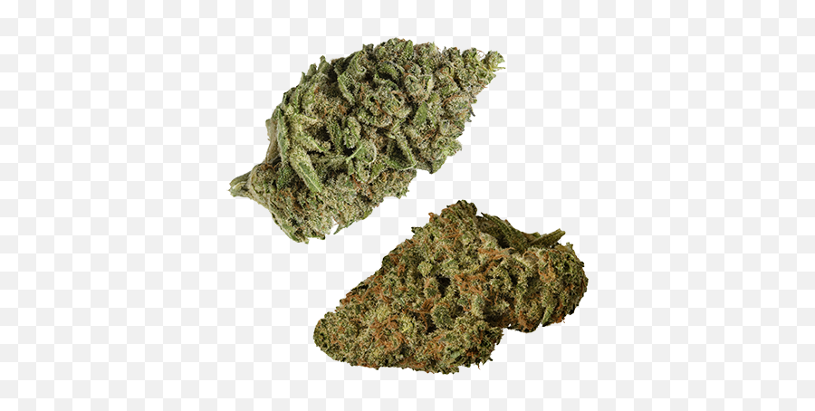 Os - Sour Diesel Png,Indica Icon