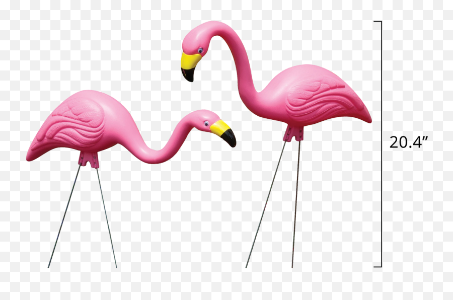 Bloem Living Flamingos - Garden Flamingo Png,Flamingo Icon