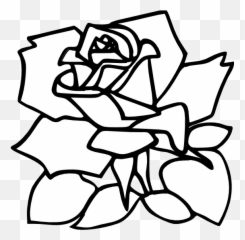 Zeimusu Red Rose Black White Line Art Tattoo Tatoo Flower - Outline Png Transparent