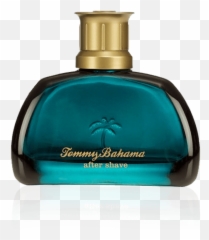 Tommy Hilfiger Brand Products Delivery Cornershop By Uber - Ralph Lauren Corporation png