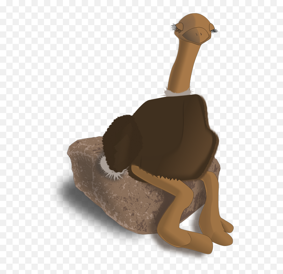 Free Clipart Ostrich Eggib - Common Ostrich Png,Ostrich Icon