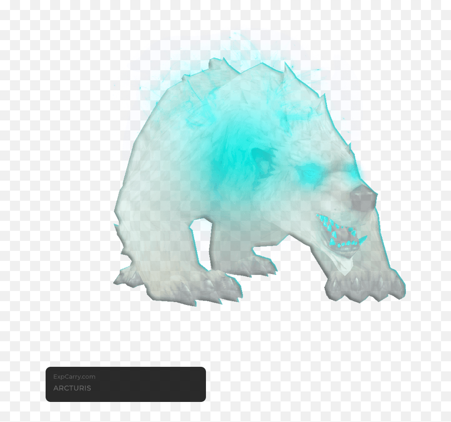 Arcturis Wow Hunter Pet Tame Expcarry Boosting Service - Polar Bear Png,Wow Demon Hunter Icon