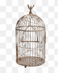 Cage Bird Png - Bird Png