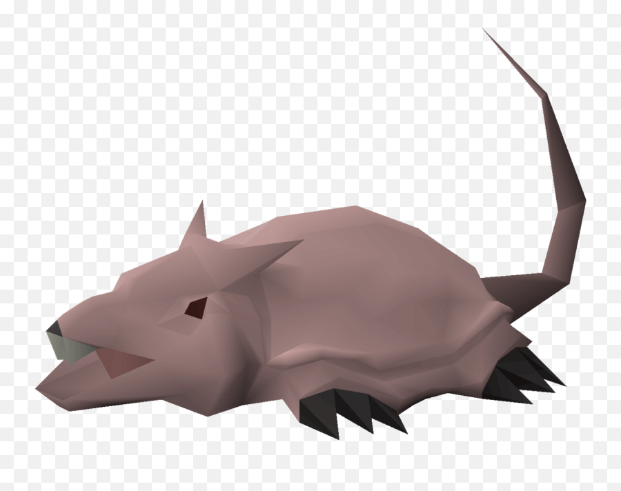 Brine Rat - Black Rhinoceros Png,Rats Png