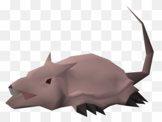 Brine Rat - Black Rhinoceros Png,Rats Png