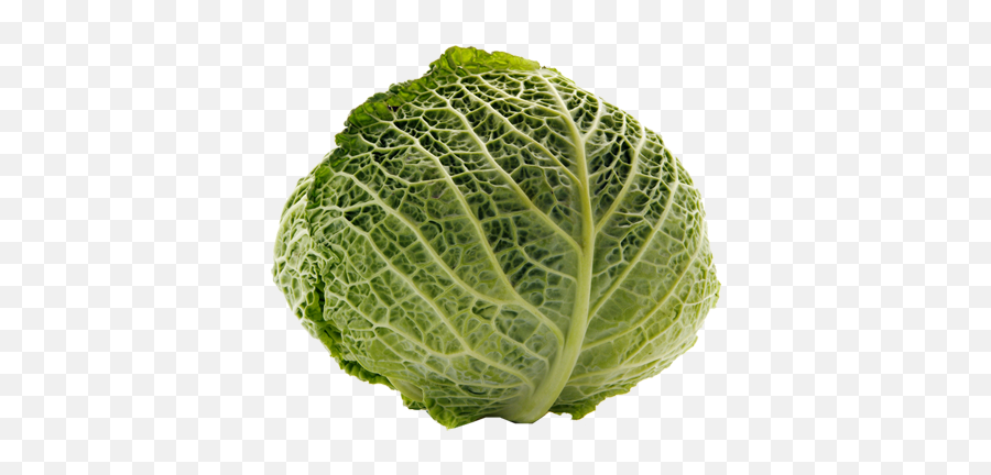 Cabbage Transparent Png - Portable Network Graphics,Cabbage Png