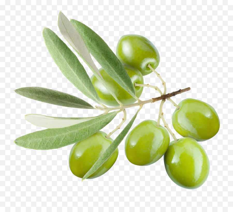 Olive Png
