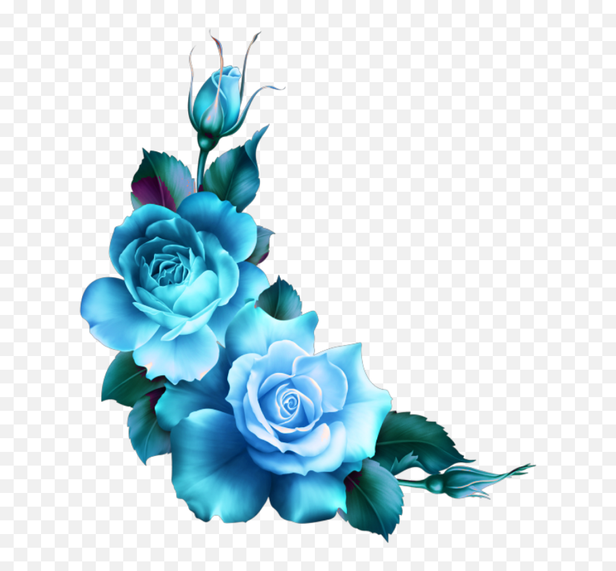 Blue Roses Flowers Flower Rose Border - Blue Rose Flower Drawing Png,Rose Border Transparent