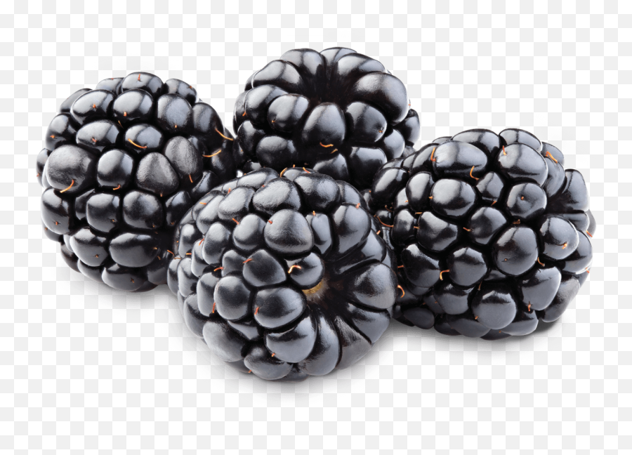 Blackberrys Png Image - Calories In Fruits 100g,Berries Png