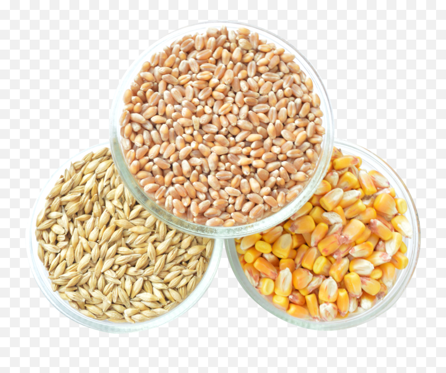 Grain Png Transparent Image Mart - Cereal Maize,Wheat Transparent Background
