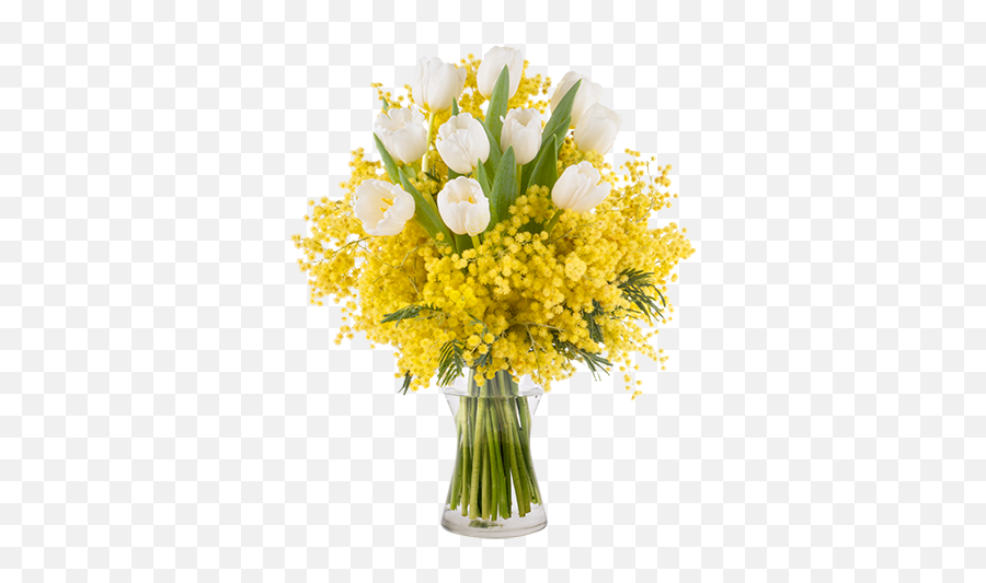 Bouquet Of Tulips With Mimosa - Mimosa Bouquet Png,Mimosa Png