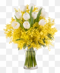 Bouquet Of Tulips With Mimosa - Mimosa Bouquet Png,Mimosa Png