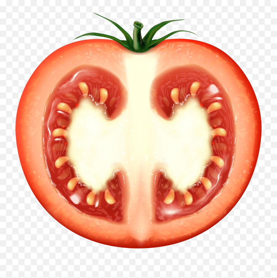 Half Tomato Transparent Clip Art Image Images Png Slice