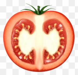 Half Tomato Transparent Clip Art Image Images Png