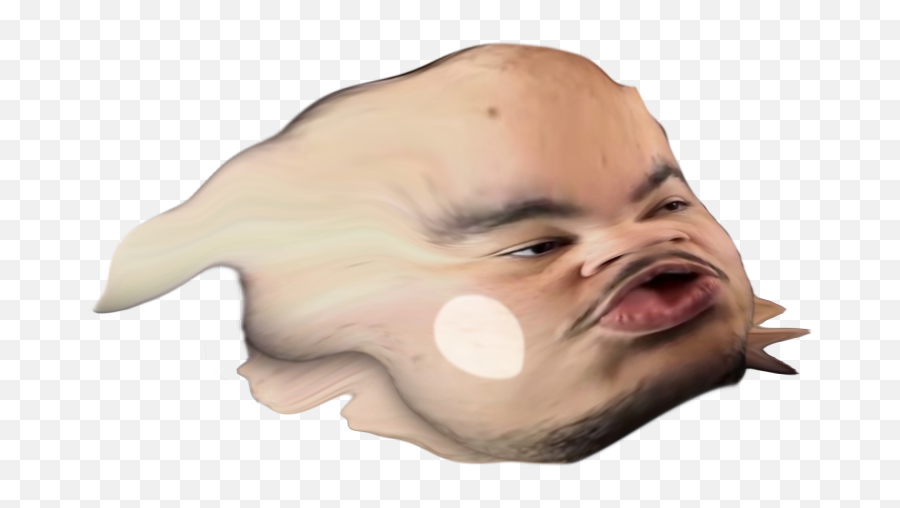 Greekgodx - Fish Png,Wutface Png