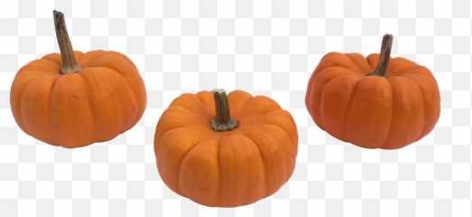 Transparent Pumpkin Mini - Small Png
