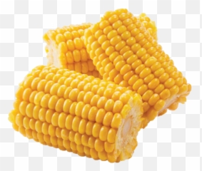 Corn Cob - Corn On The Cob Cut Png,Corn On The Cob Png