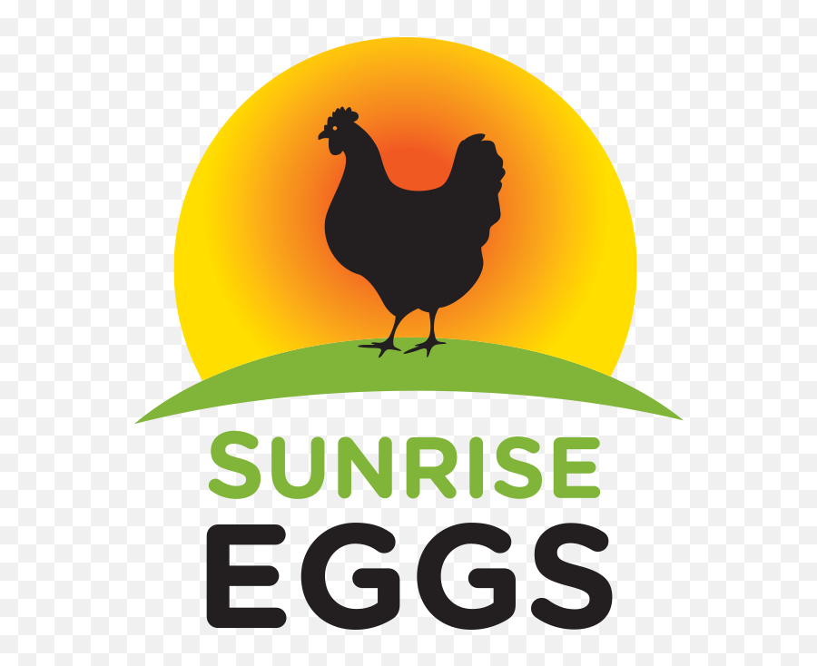 Sunrise Eggs Png Sun Rise