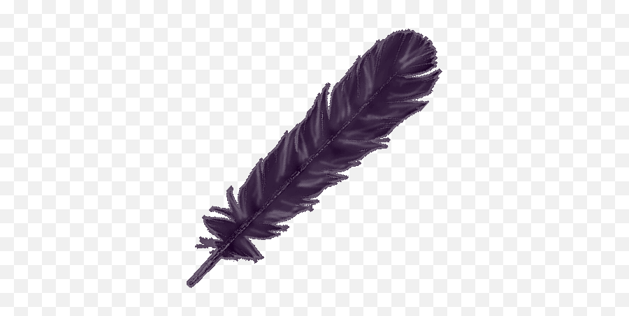 Download The Raven Feather - Feather Full Size Png Image Shadow,Feather Transparent