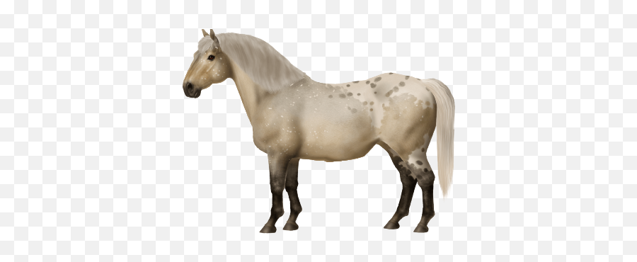 Speckles U2022 Horse World Online - Horse Png,Speckles Png