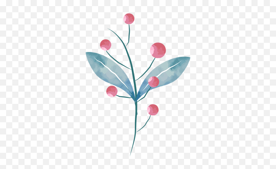 Download Watercolor Berries Leaves Transparent Png U0026 Svg Vector File Twig Watercolor Stroke Png Free Transparent Png Images Pngaaa Com